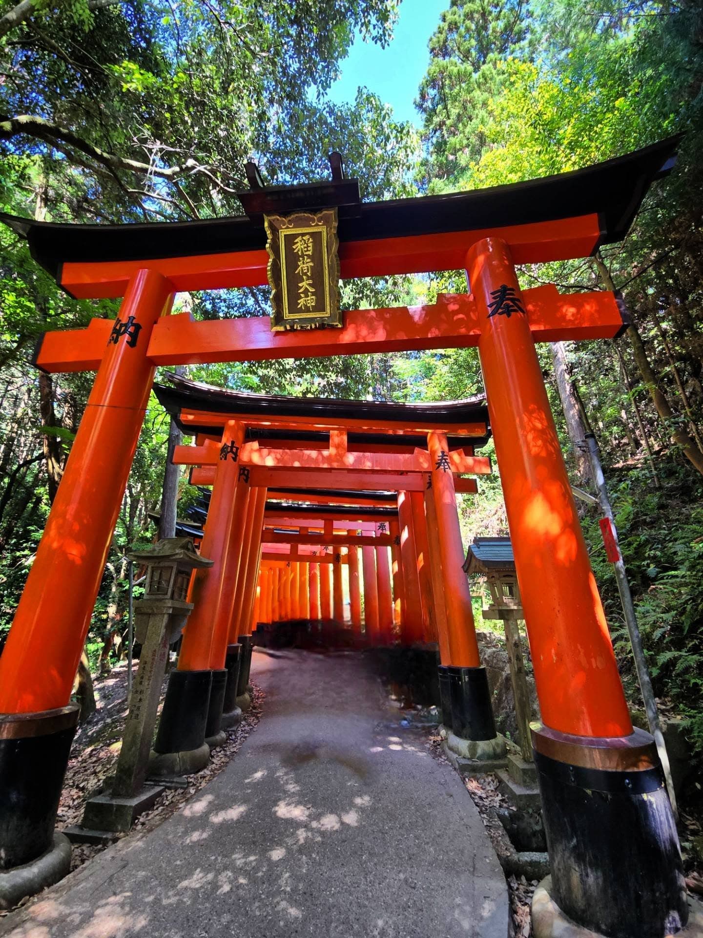 Kyoto